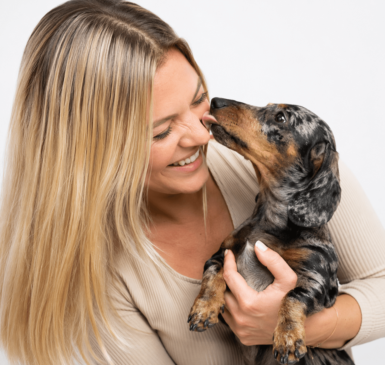 fotografo canino